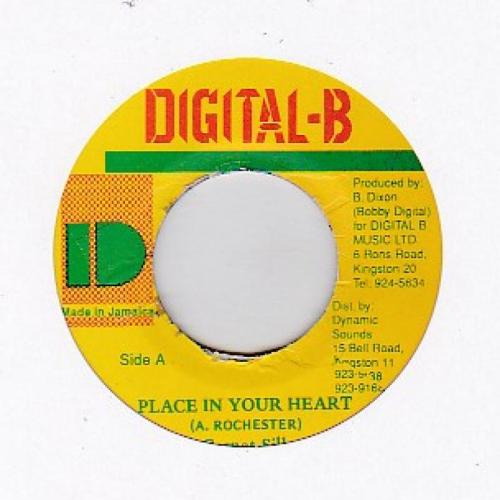PLACE IN YOUR HEART / /GARNET SILK レコード通販COCOBEAT RECORDS